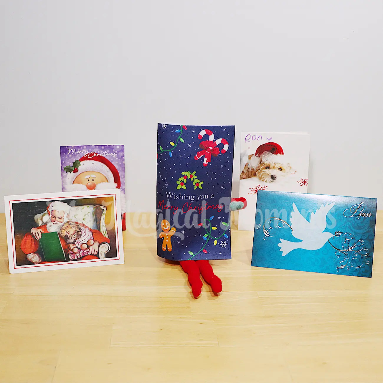 Elf Shelf Wearing a Christmas Card Costume