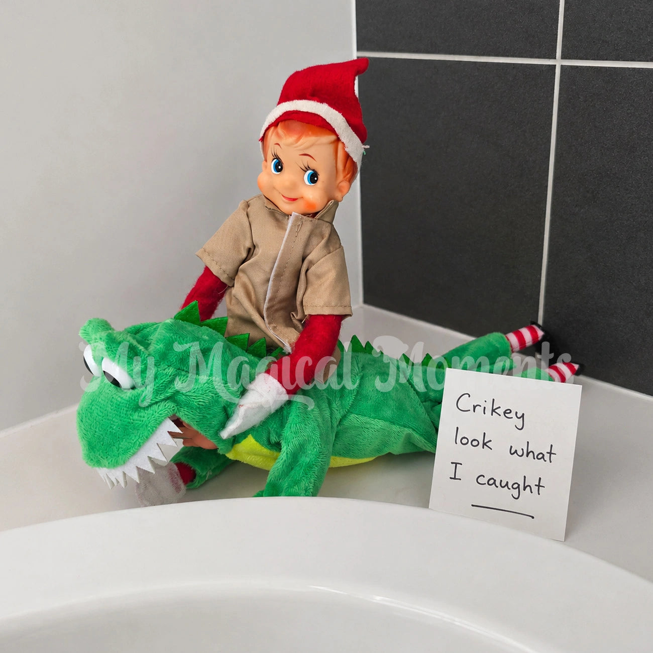 elf wrestling another elf dressed as a crocodile, with a sign saying crikey look what i caught