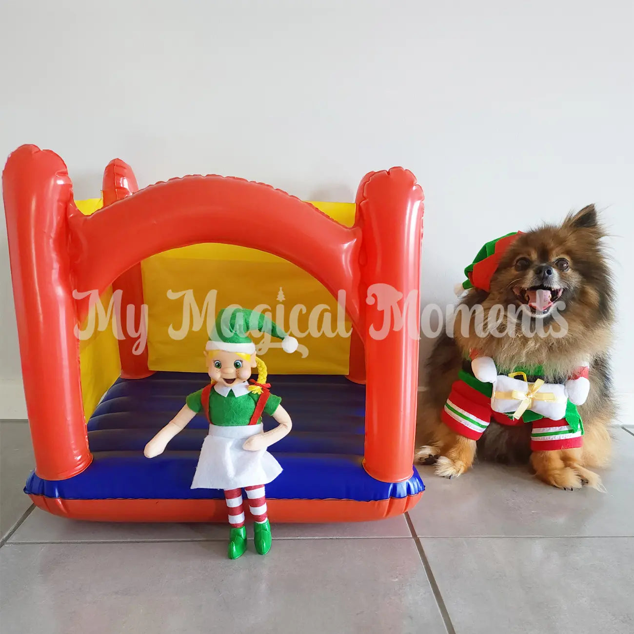 Elf prop bouncy house compared to a Pomeranian dog