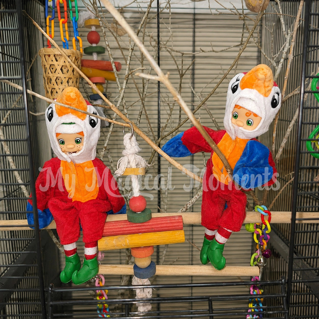 Elves wearing elf parrot costumes sitting in a bird cage
