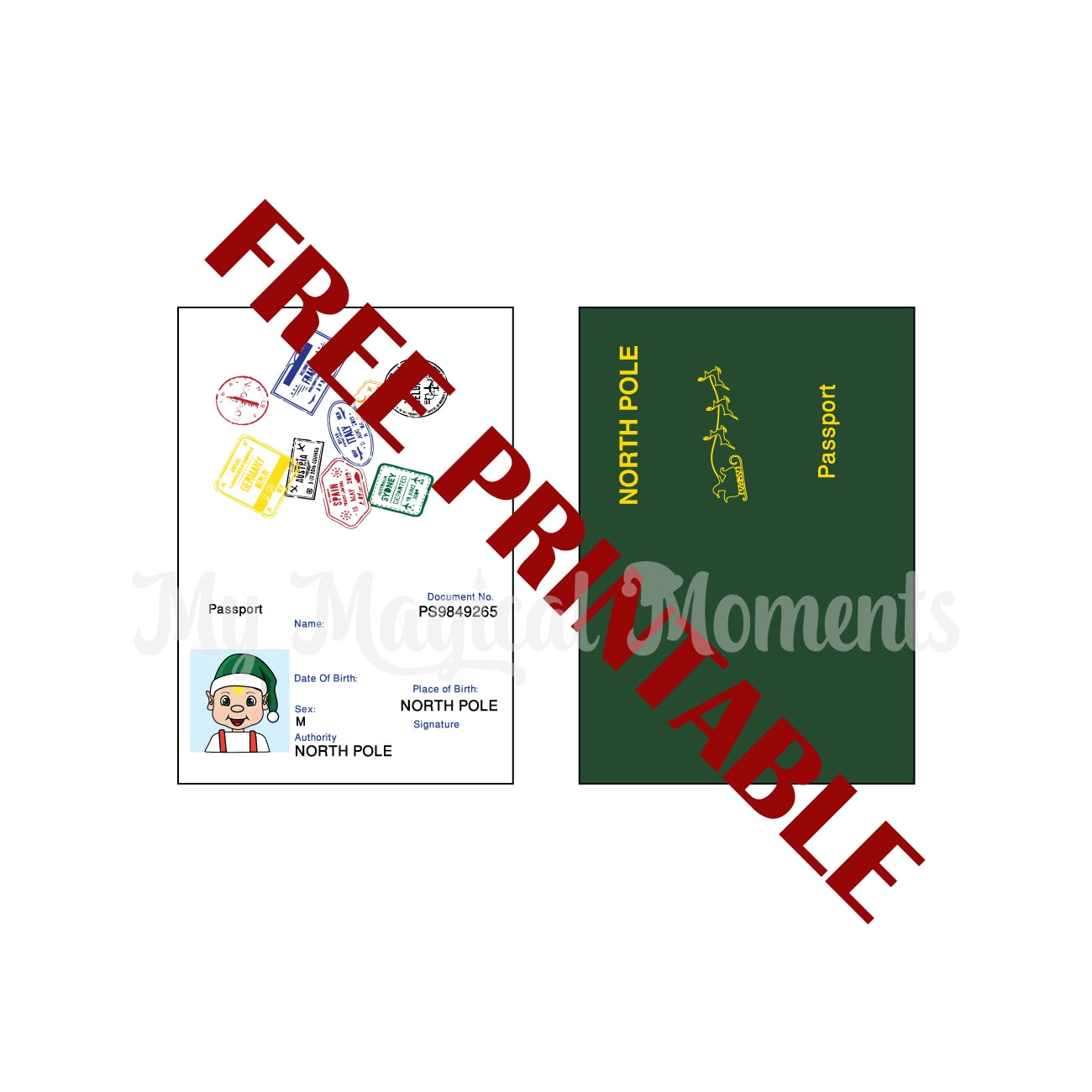 Passport Printable for Elf Toddler Blonde hair boy