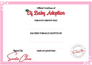 adoption pink elf baby certificate
