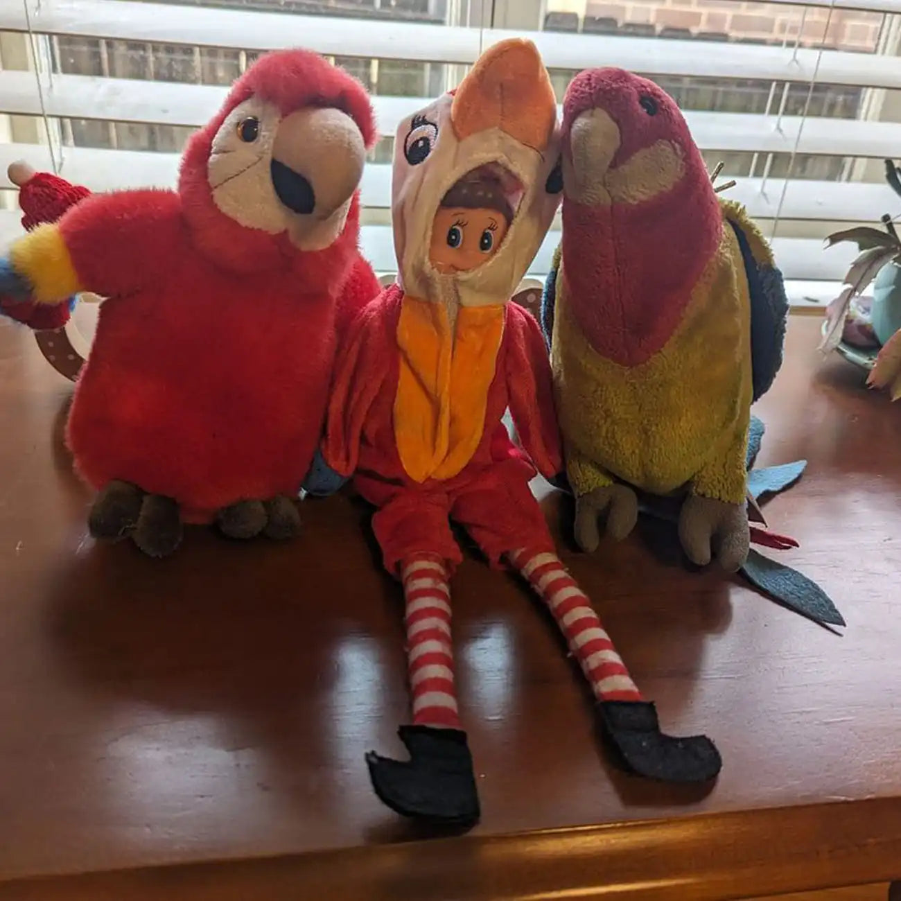 elf dressed as a parrot customer photo