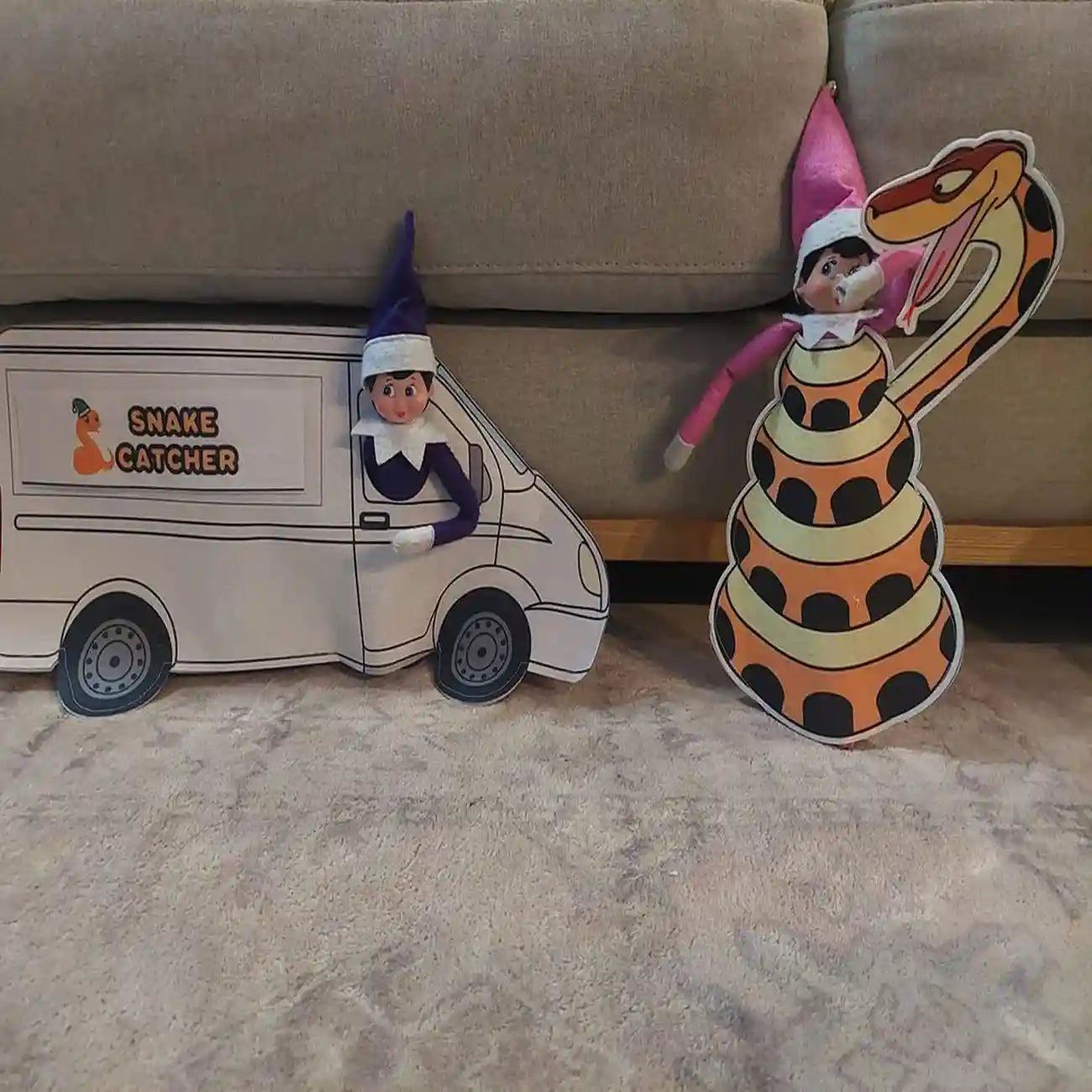 elves as a snake catcher in a van customer photo