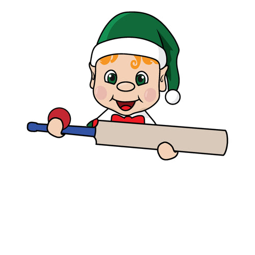 Cricket Stumps