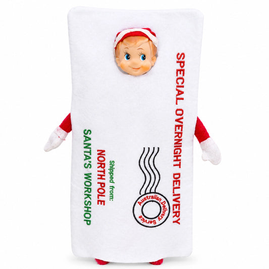 Costume - Elf Arrival Postal Bag Envelope