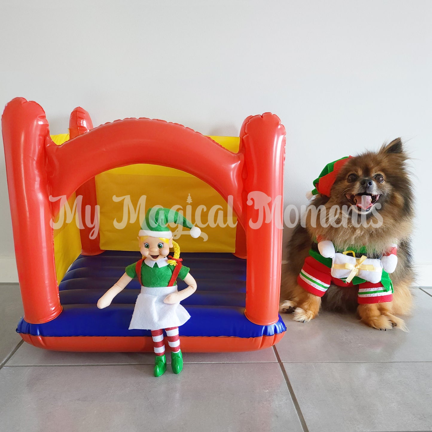 Elf prop bouncy house compared to a Pomeranian dog