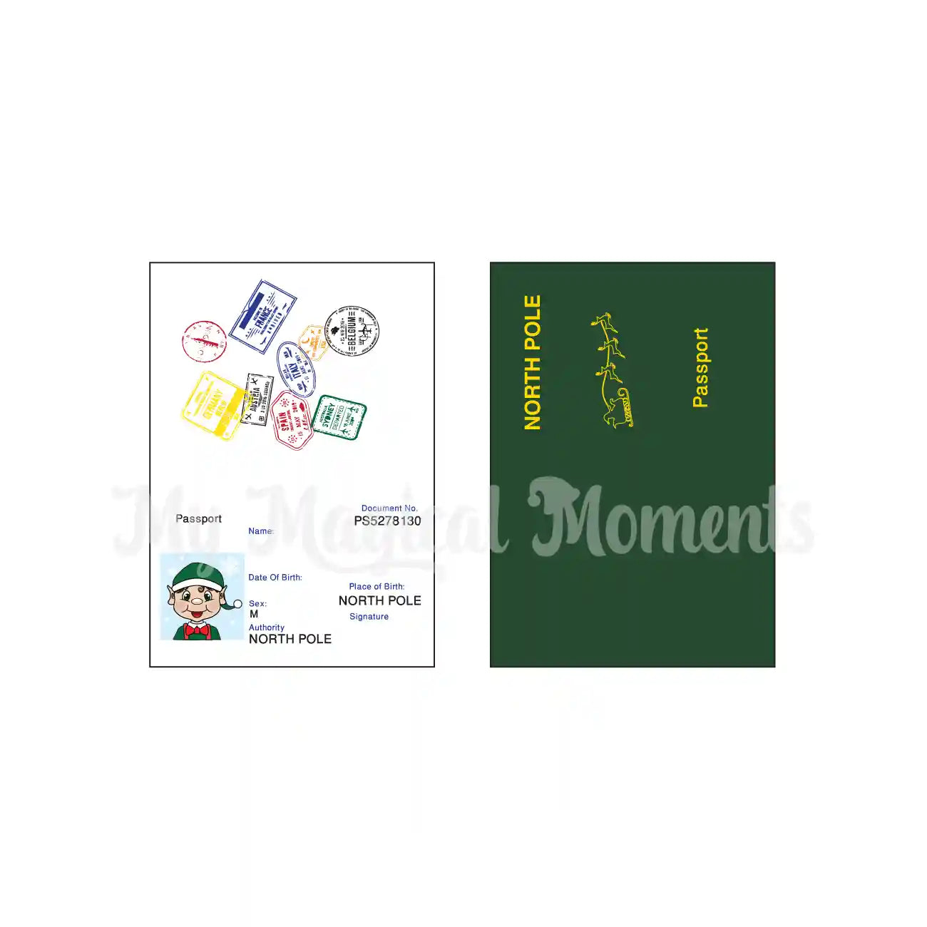 Passport Printable for Elf with Brown Hair Boy