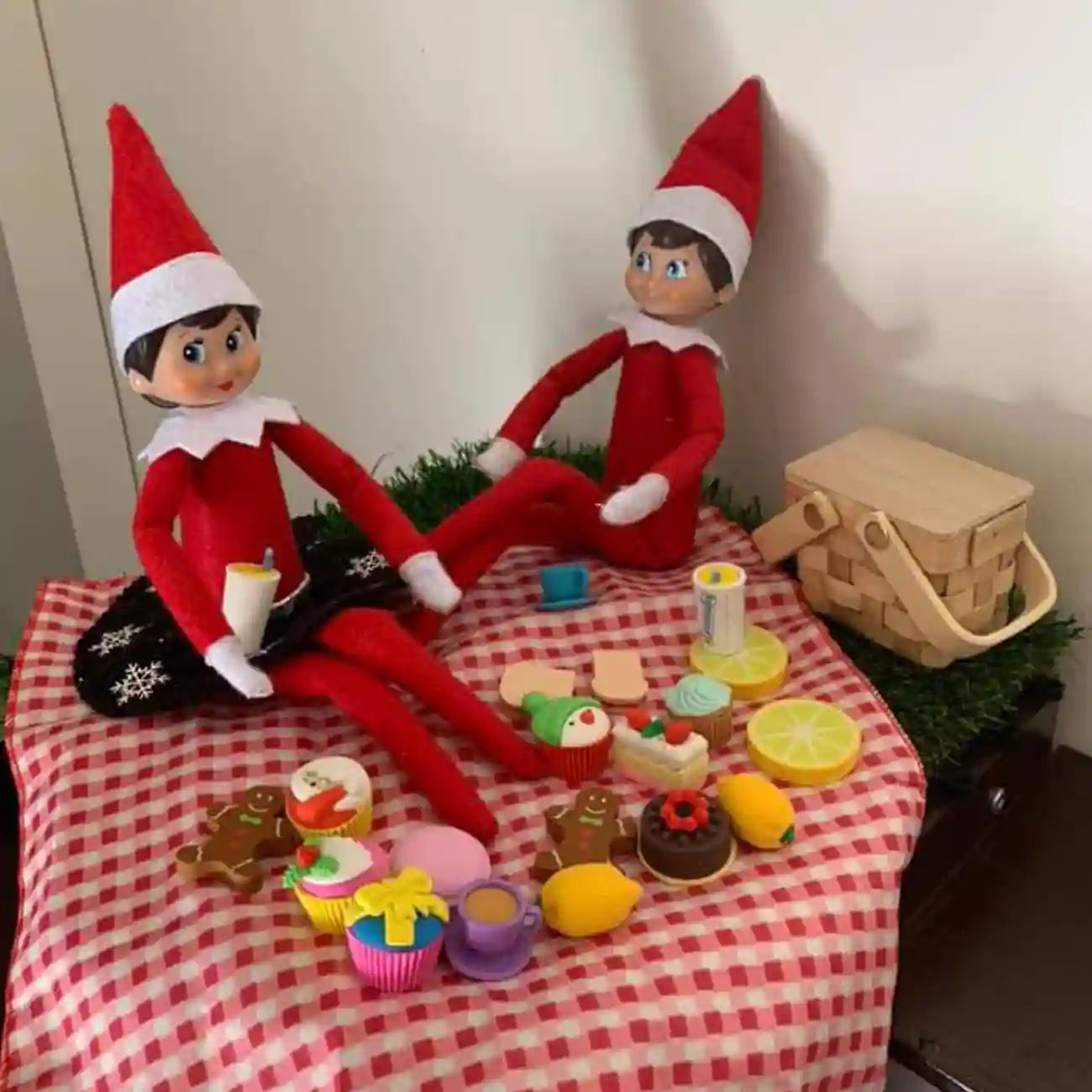 Elf customer picnic scene