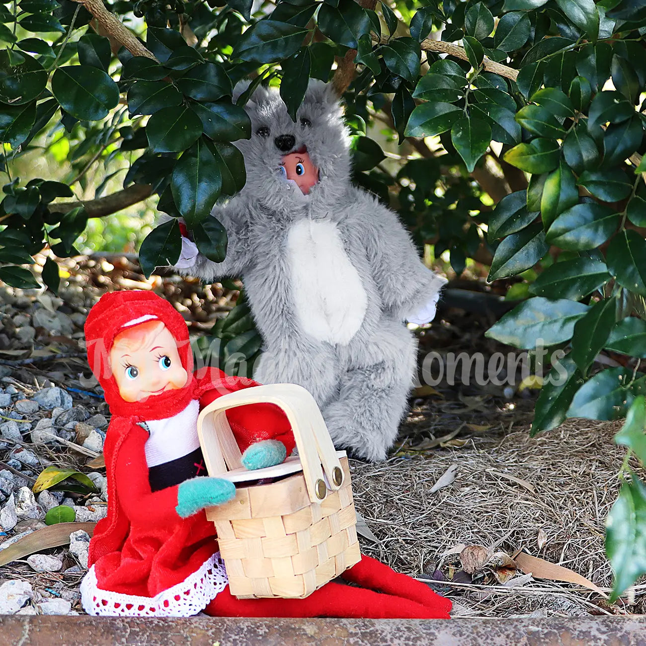 little red riding hood dressed elf with a mini picnic with wolf dressed elf