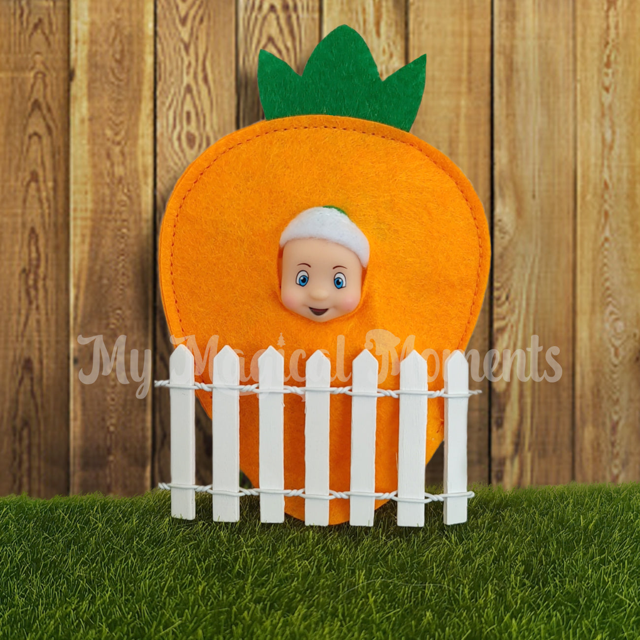 Baby Elf wearing a carrot costume and a picket fence