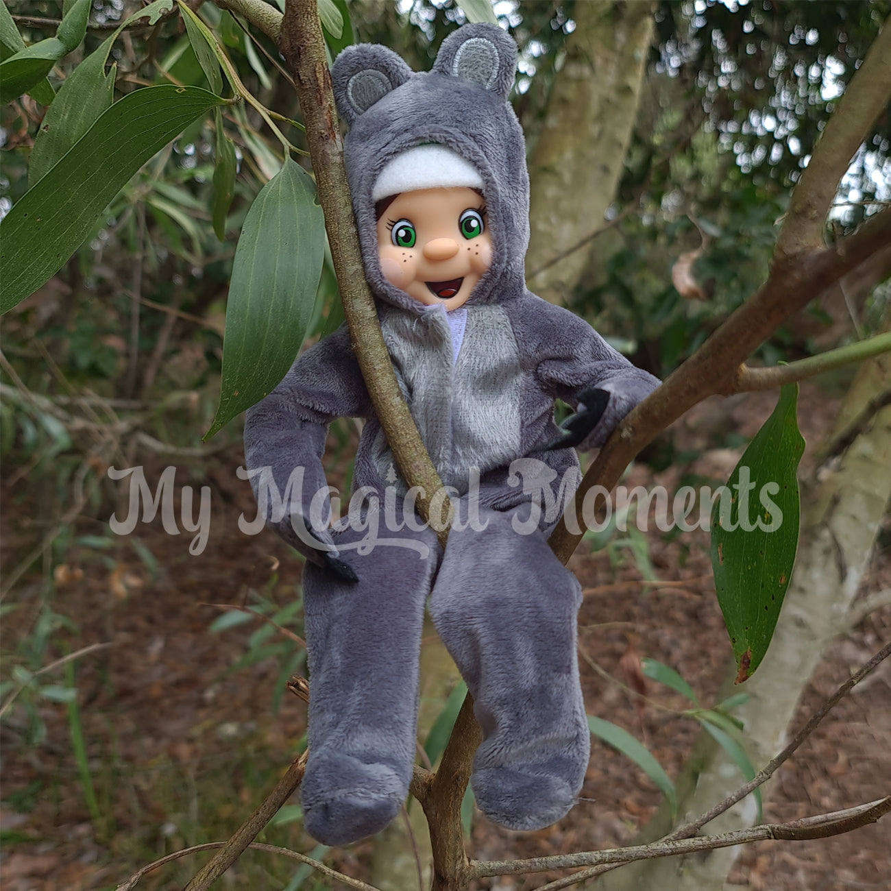 Elf dressed as a koala in a tree on Bribie island