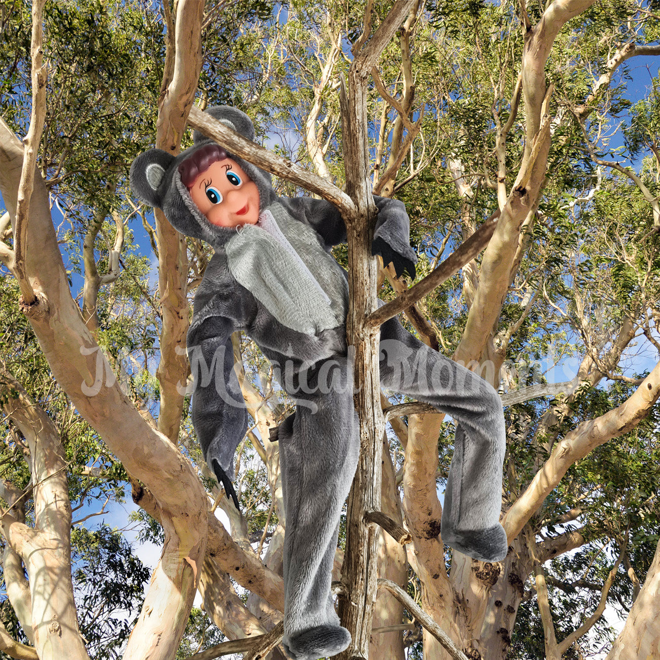 Elves behavin badly dressed as a koala in a tree